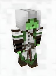 Slime Assassin skin (Image via SkinsMC)